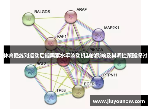 体育晚练对运动后褪黑素水平波动机制的影响及其调控策略探讨